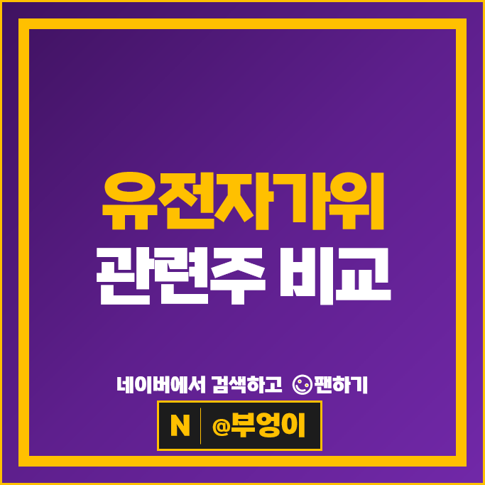 유전자가위 관련주 신테카바이오 코오롱생명과학 테라젠이텍스 주가 바이젠셀 씨젠 마크로젠 아미코젠 헬릭스미스 신라젠 셀레믹스 진원생명과학 주식