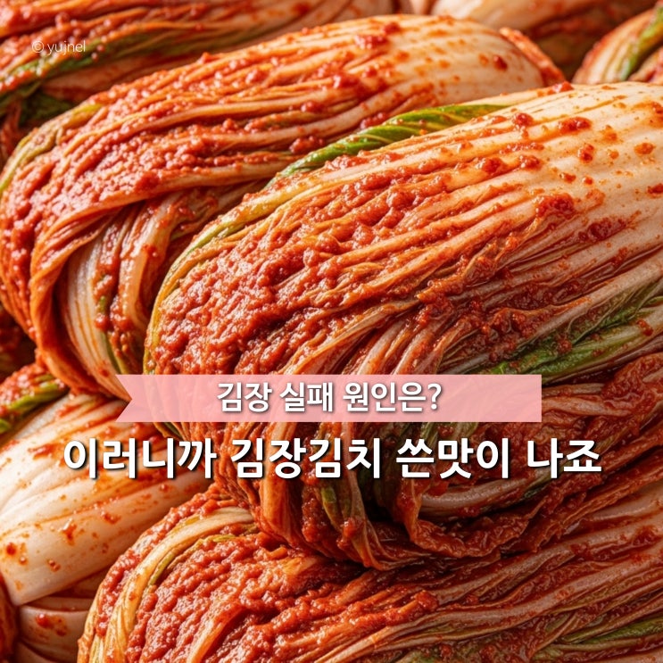  김장김치 쓴맛 난다면 큰일이에요 주부 30년 차도 놓친 '이 한 가지 실수'