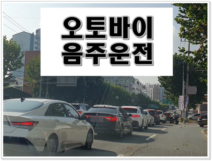  오토바이 음주운전 초범 면허취소 감경 방안