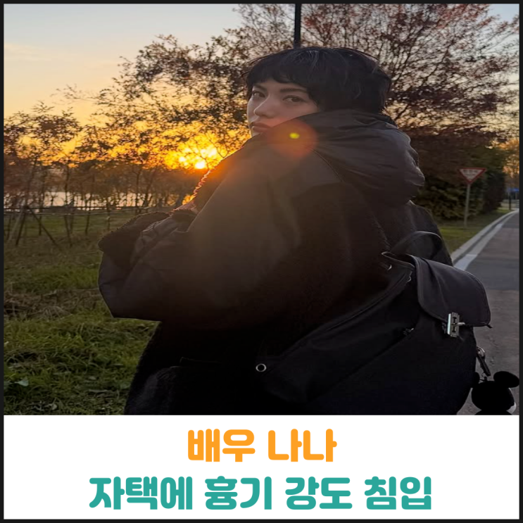  배우 나나 자택에 흉기 강도 칩입