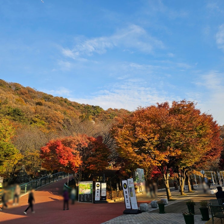  광명동굴 먹거리 아이랑 피크닉 필수 유모차 데크길 후기