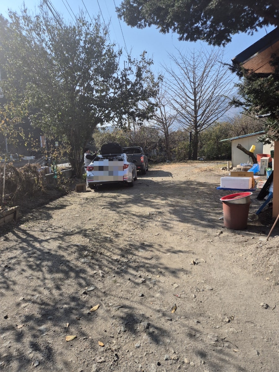 담터낭만칼국수 사진 4