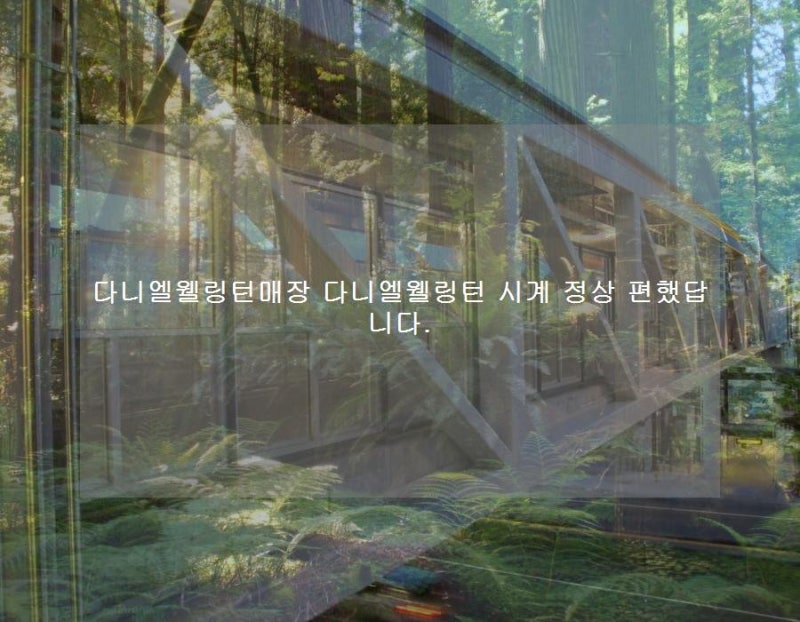 다니엘웰링턴매장 다니엘웰링턴 시계 정상 편했답니다.