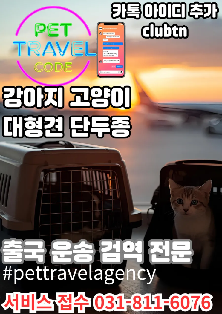  반려동물 이동장·케이지·켄넬 대여 서비스 강아지 고양이 헤외이동