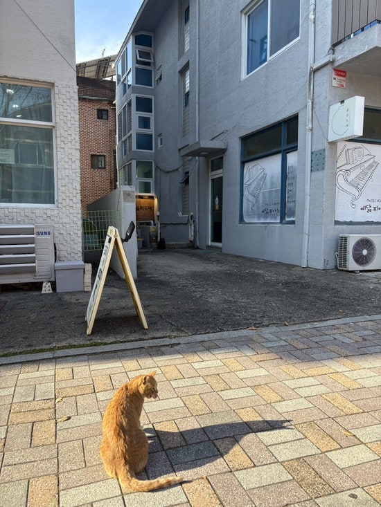 율리도예 사진 2