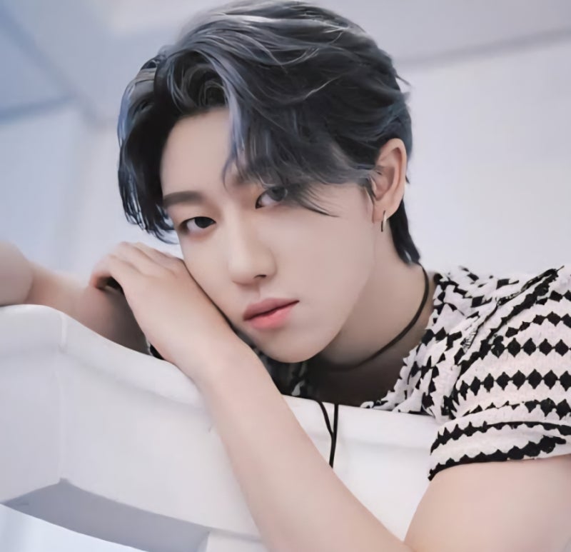 ✨ SEVENTEEN The8 個人資料總整理：獨具藝術感的獨特藝術家（年齡、身高、Instagram 等）