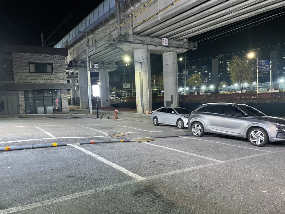 짱어장어 사진 3
