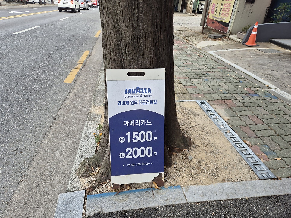 커피냥 사진 2