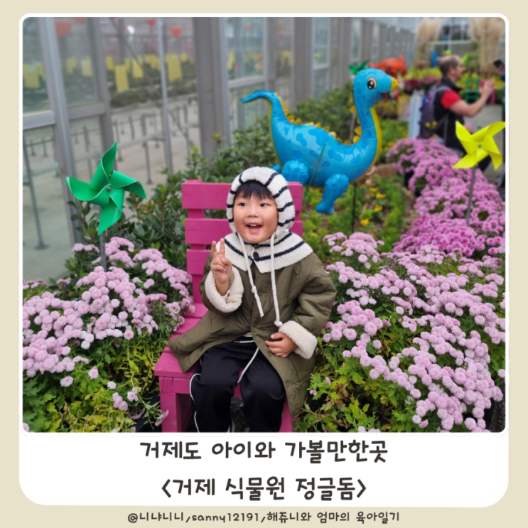  거제 식물원 정글돔 섬꽃축제 국화축제 거제도 아이랑 가볼만한곳