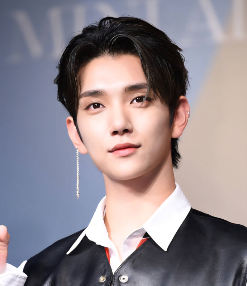 SEVENTEEN Joshua's (JOSHUA) Complete Profile: Age, Height, Instagram, and More! Detailed Info on Carats' Gentleman