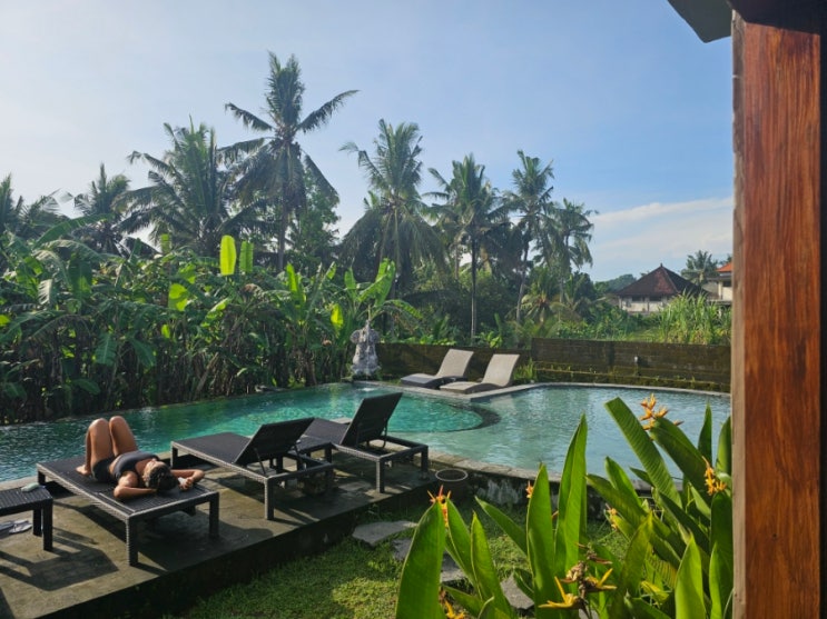  나만 알고싶은 우붓 숙소 게스트하우스 추천 우붓 라이스필드 하우스(Ubud Ricefield House)
