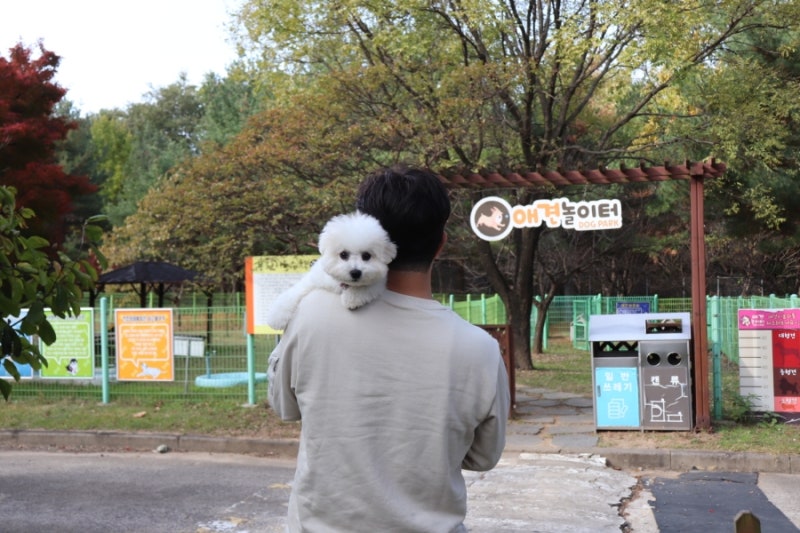 서산휴게소 애견놀이터