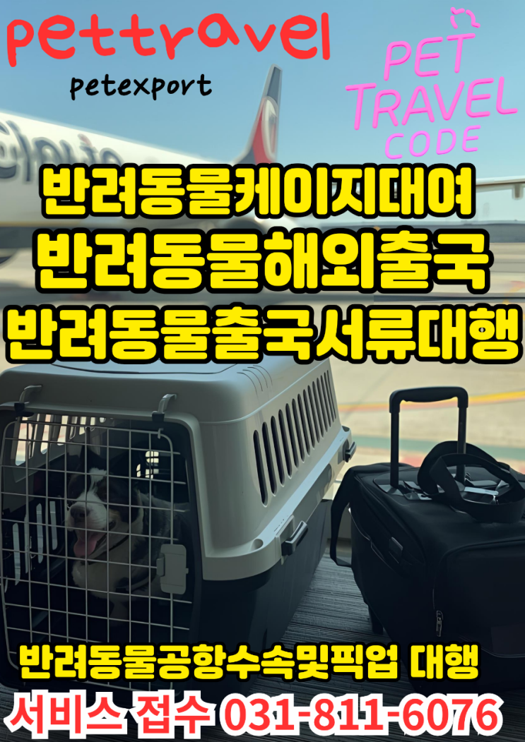 전국 어디서나.강아지 고양이 대형견 반려동물 운송 픽업부터 케이지 대여·회수까지 일괄 처리