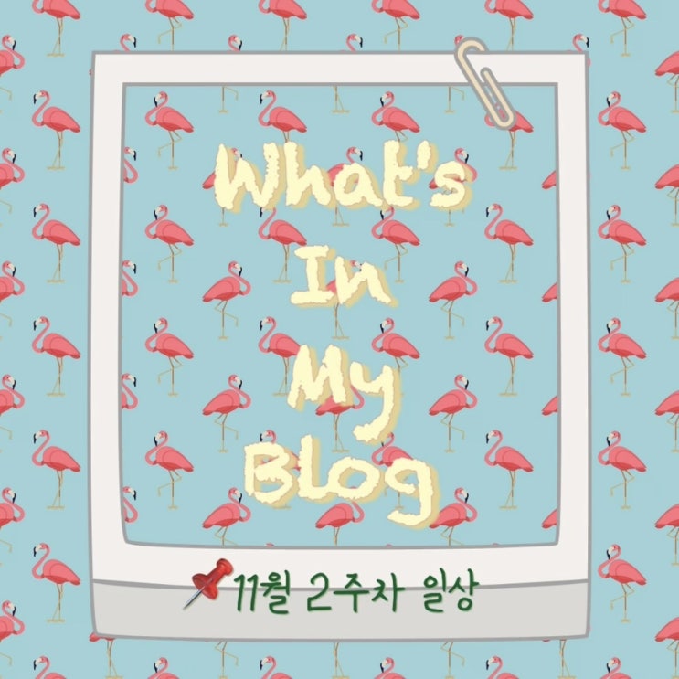  11월 2주 차 일상 정리 왓츠인마이블로그 블챌