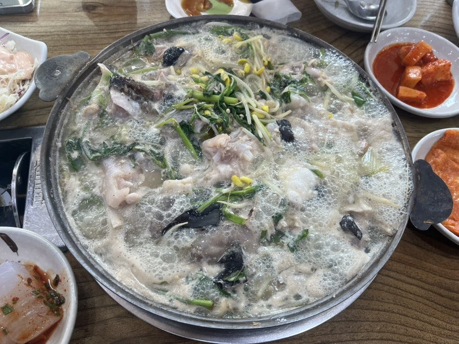 동원물텀벙 사진 3