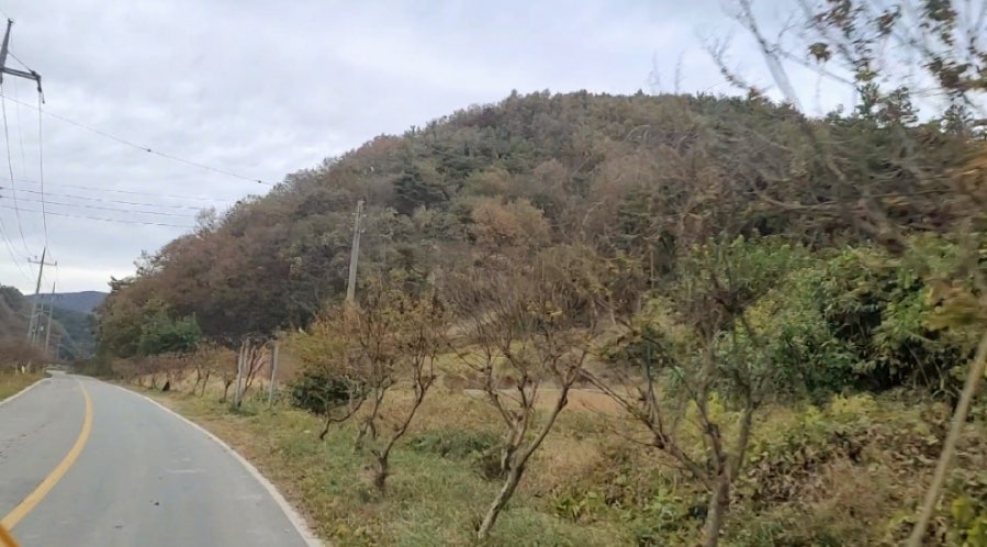 연기향 사진 6