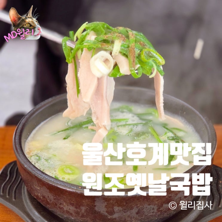  울산 원조옛날국밥 본점 울산국밥 호계 맛집 인정