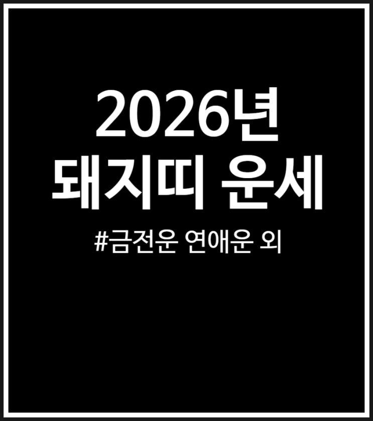  2026년 돼지띠 병오년 신년 운세 (나이별 연애운 직업운 금전운 정리)