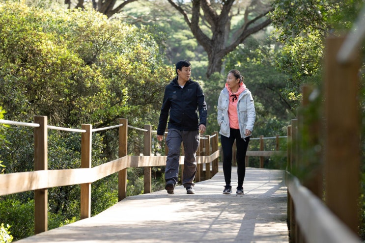 운동은 어떻게 혈당을 낮추는가?