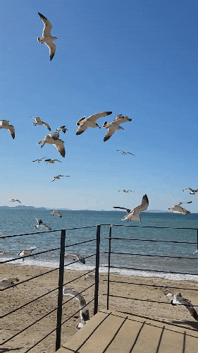  화성 제부도 여행 여자들의 1박2일 제부도 힐링여행 제부도 탑재산 등산 바이킹 타기 물때 시간표
