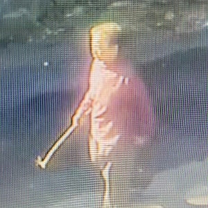 실종경보(김효임)