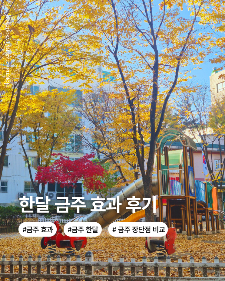  요즘 일상 금주 한달 후기 변화 장단점 +새해 결심