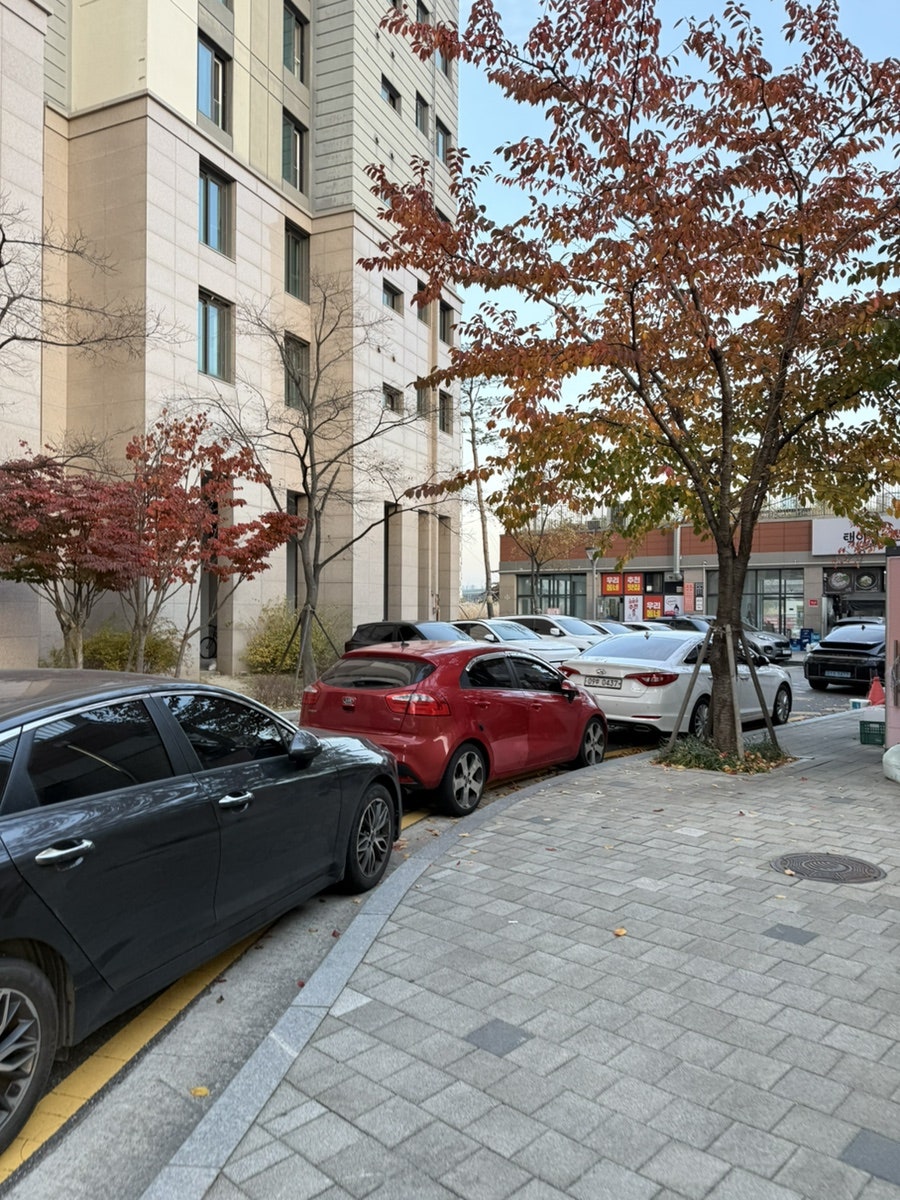 택이집 사진 2
