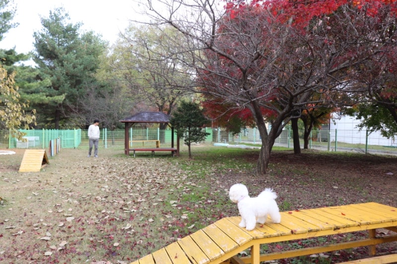 사진 2