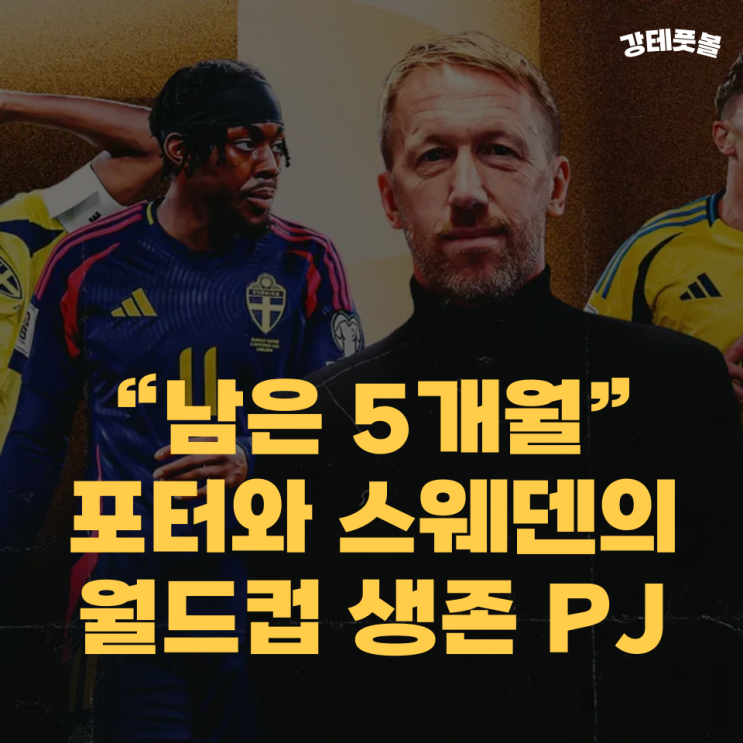 스웨덴 <b>축구</b> 국가<b>대표팀</b>, 그레이엄 포터가 2026 월드컵 진출을... 