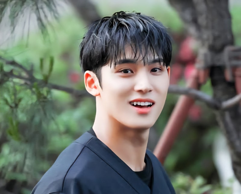 ✨ [最新] SEVENTEEN ミンギュ(MINGYU) 完全プロフィール：圧倒的フィジカル、年齢、身長、インスタまで網羅！万能ビジュアルの全て