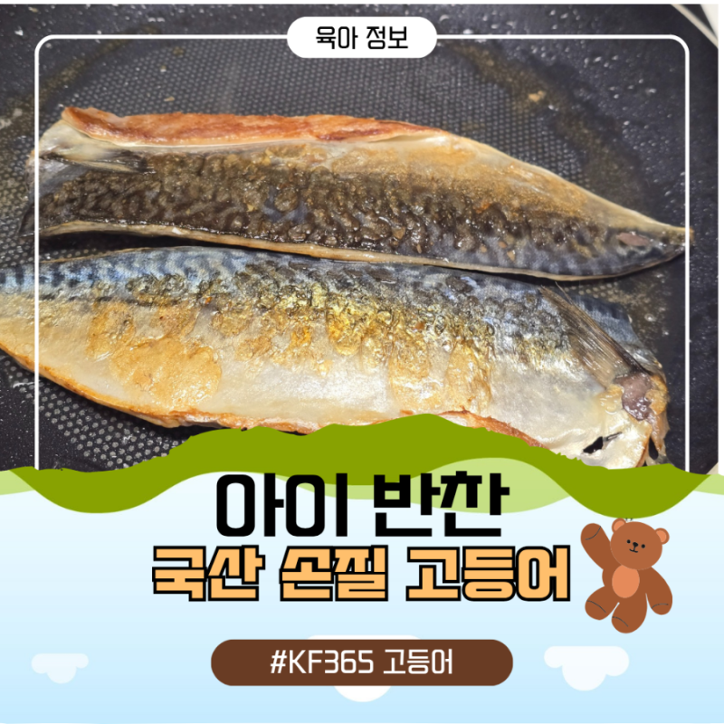 아이 반찬 KF365 국산 손질 고등어 비린내 없이 굽기