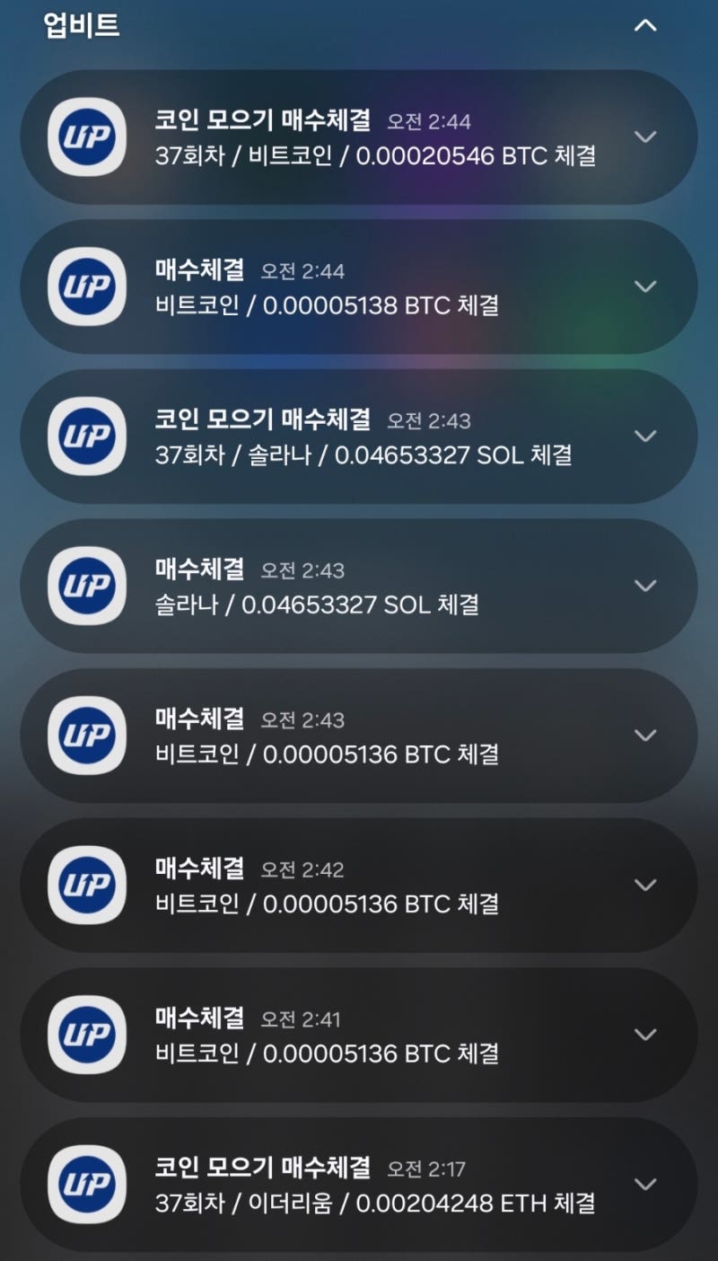코인 투자] 디지털 금, 비트코인 가격변동성에 대한 위기감 (ft. 적립식 투자는 계속) : 네이버 블로그