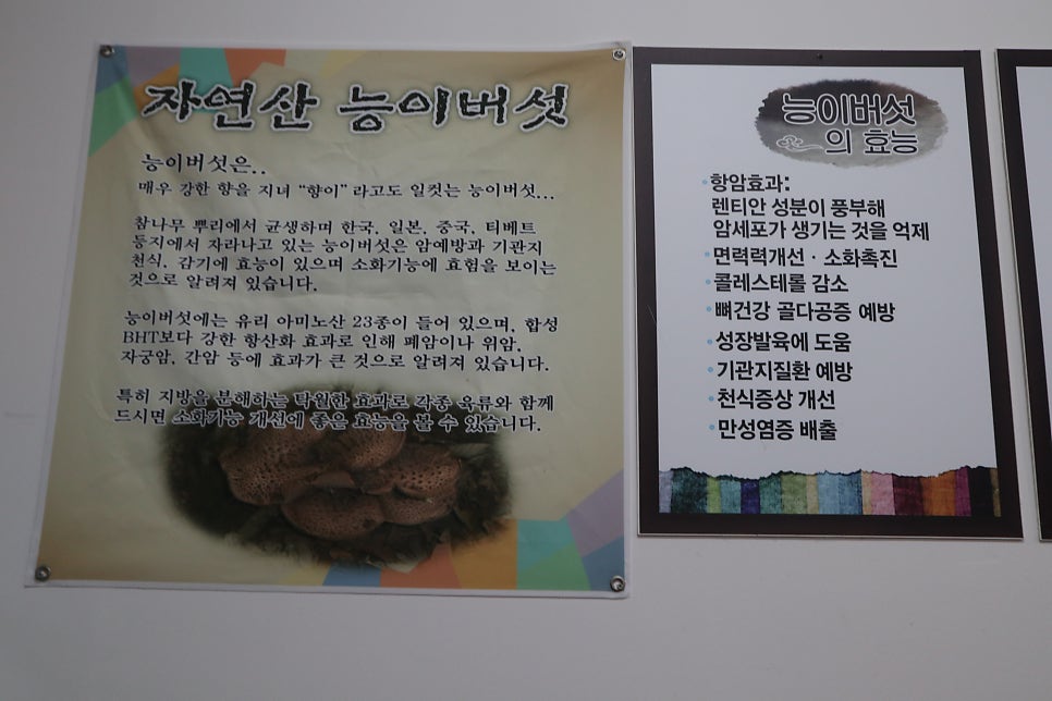 풍기능이칼국수 사진 6