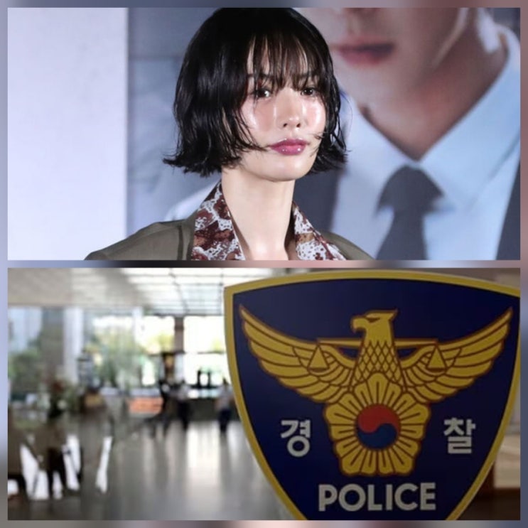 배우 나나 '모친과 함께 제압' 자택 강도 검거