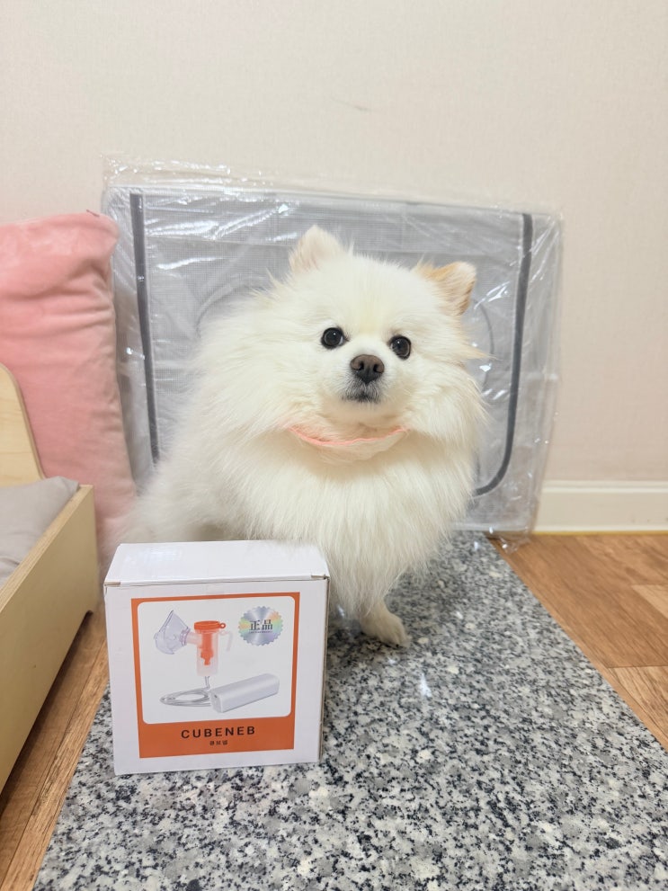  강아지산소방, 큐브넵 오투펫 폴딩 강아지네블라이저 세트