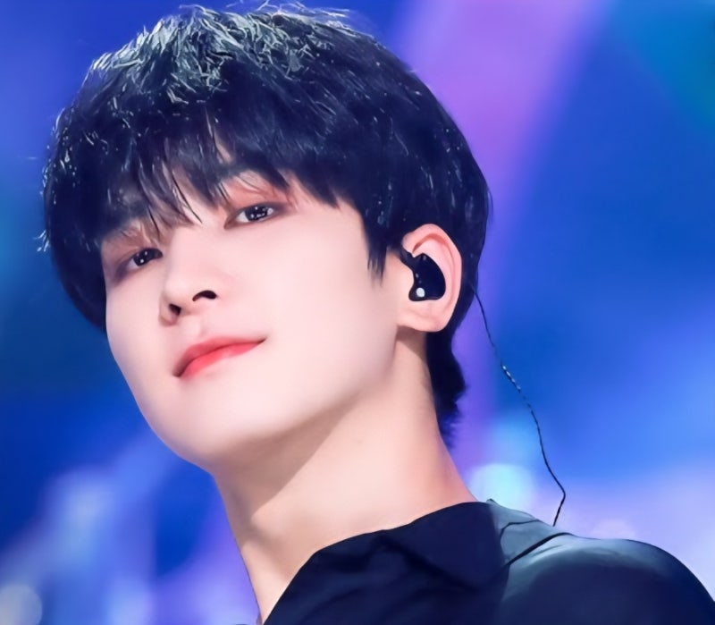 ✨ SEVENTEEN Wonwoo: Complete Profile of the Charming Low-Tone Rapper (Age, Height, Instagram)