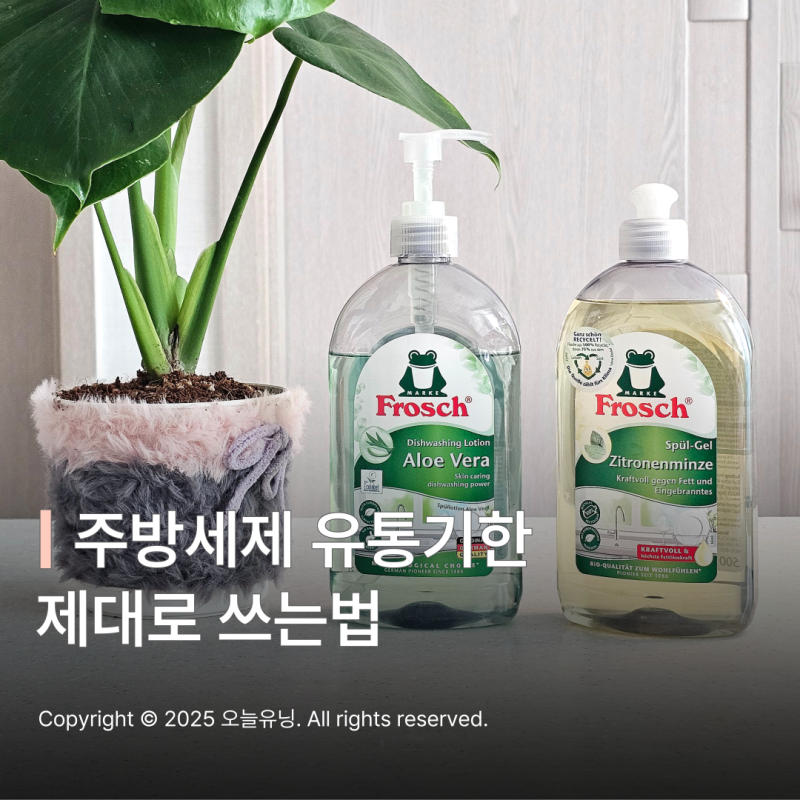 주방세제 유통기한 안전한 사용법 오래된 세제 활용법