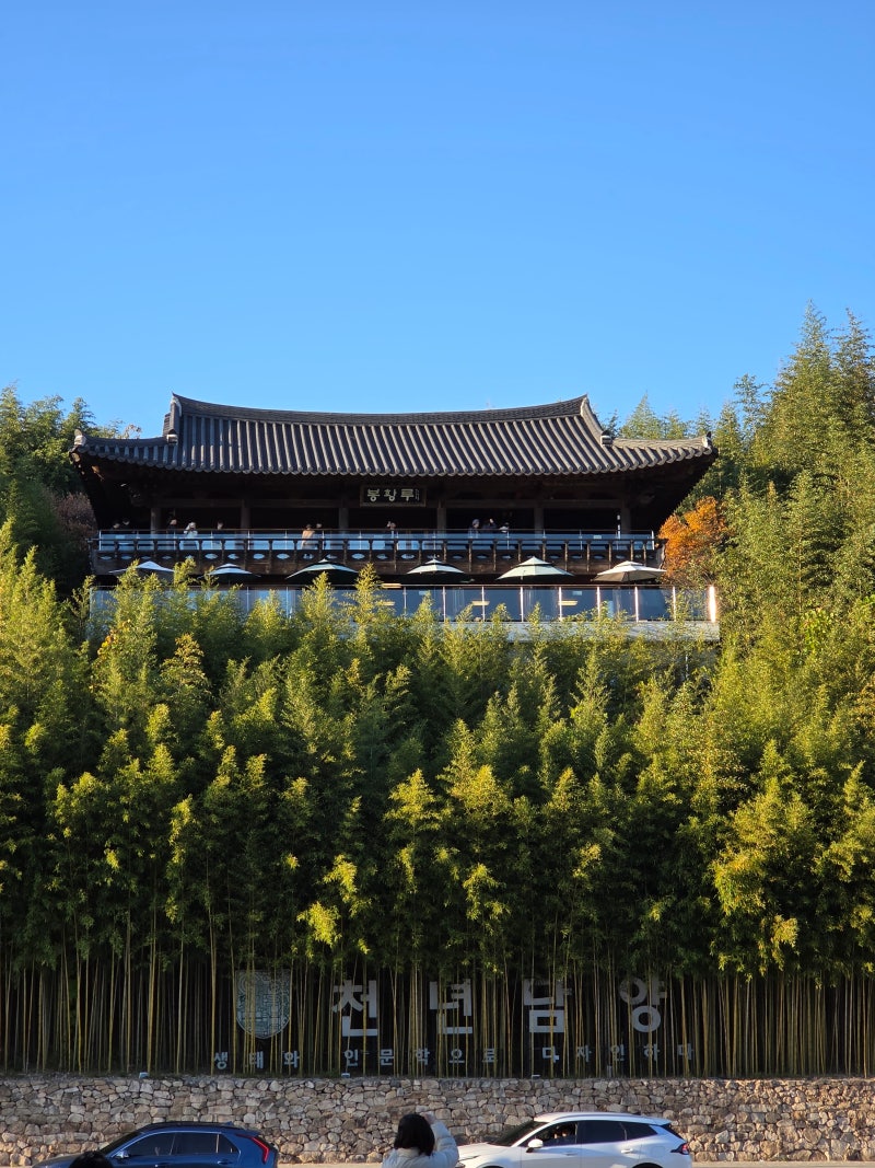 사진 4