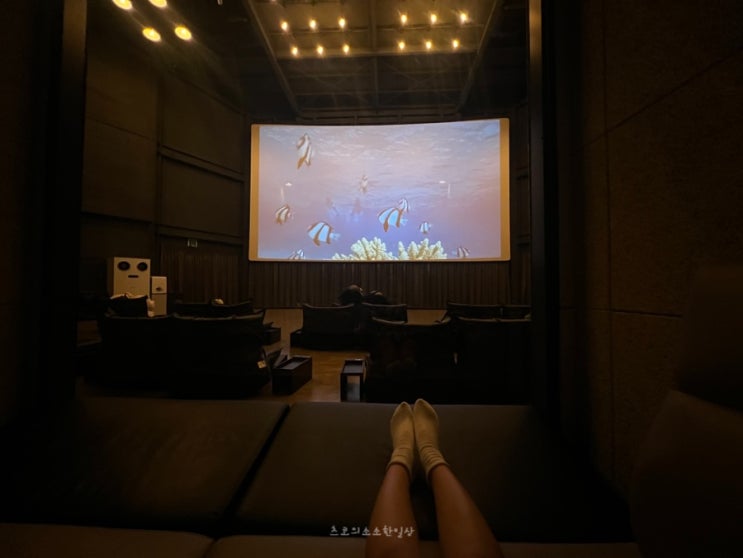  밀린일상들