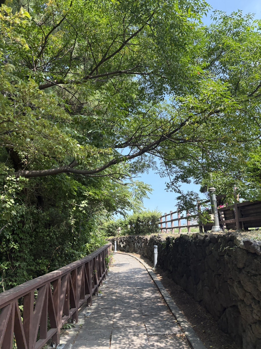 윔블던 사진 4