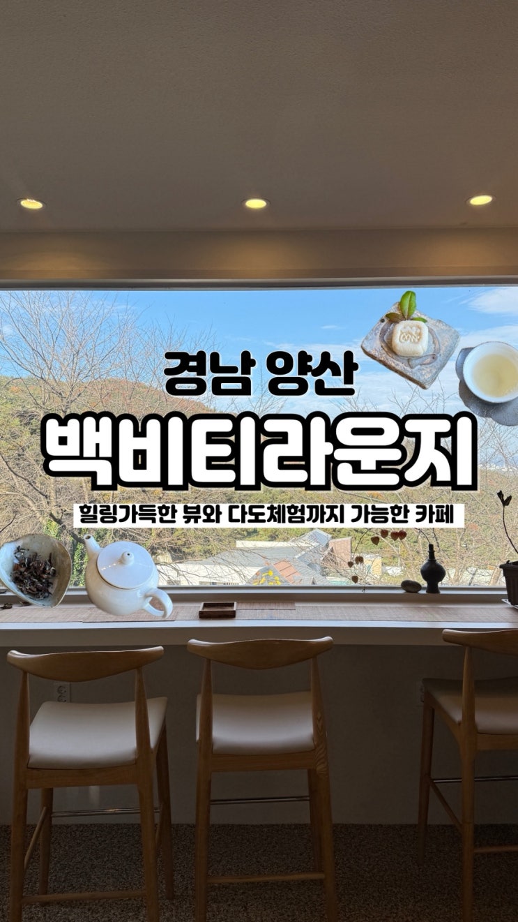  숨은 보석 같은 티 전문 통도사 근교 양산 분위기 좋은 카페 백비티라운지