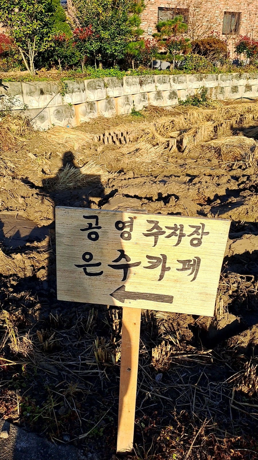 은수커피 사진 2