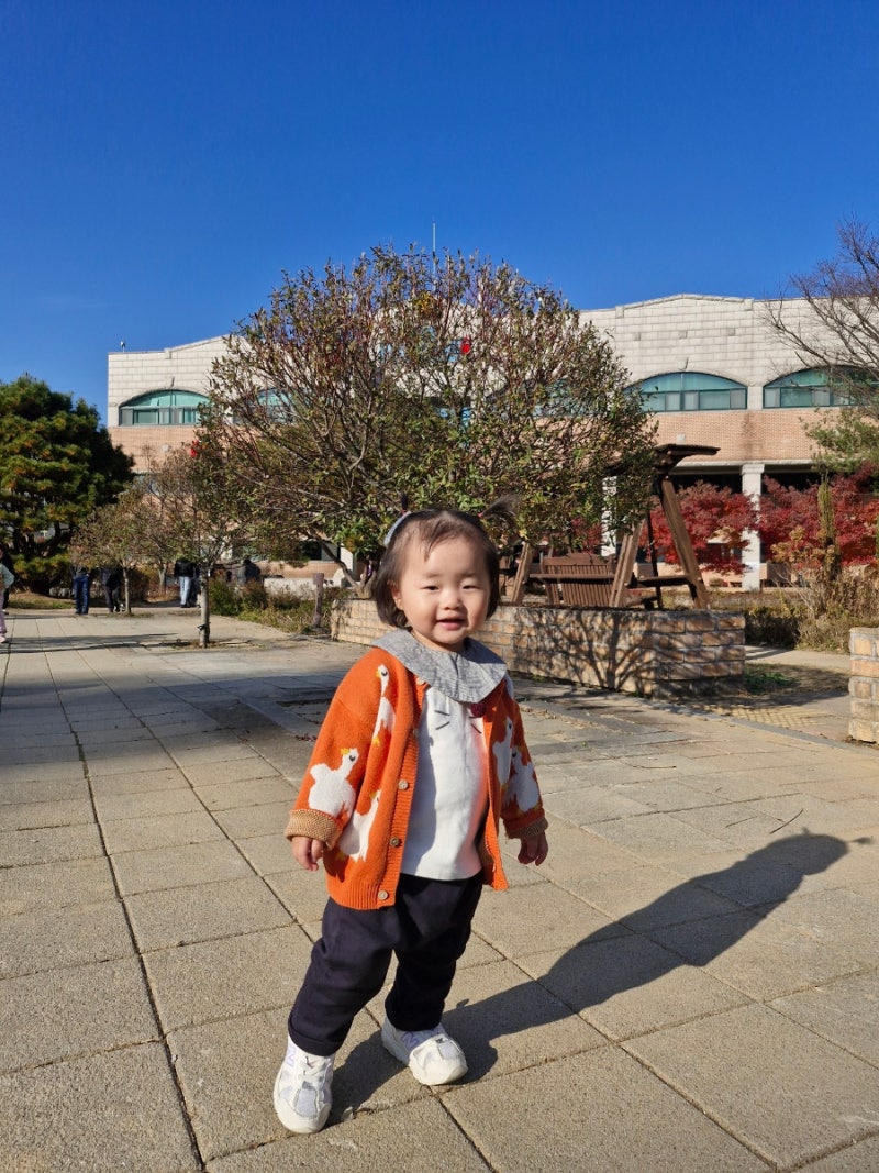 사진 4