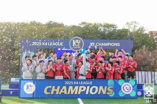  TNT K5 챔피언십 우승과 당진시민축구단 K3 승격