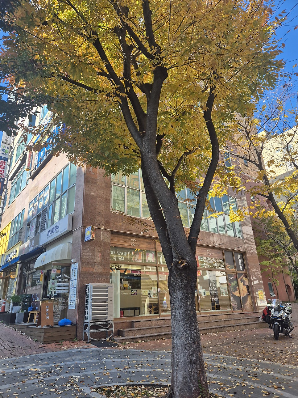 라나맘분식 정관점 사진 2