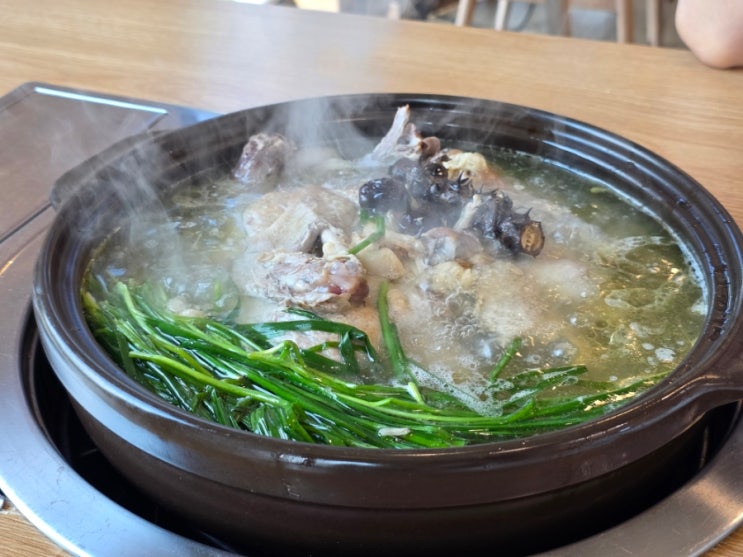  속초 고성 여행에서 제대로 몸보신하기, 속초 오리고기 맛집 ::가조오리숯불구이::