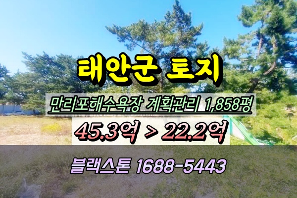 태안군토지 경매 만리포해수욕장 대지 2천평