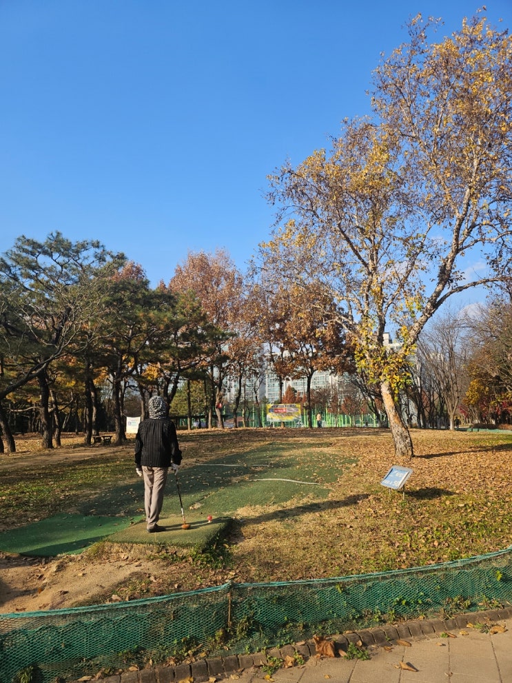  화정 은빛공원 파크골프장 12월 휴장 전 즐겨요!