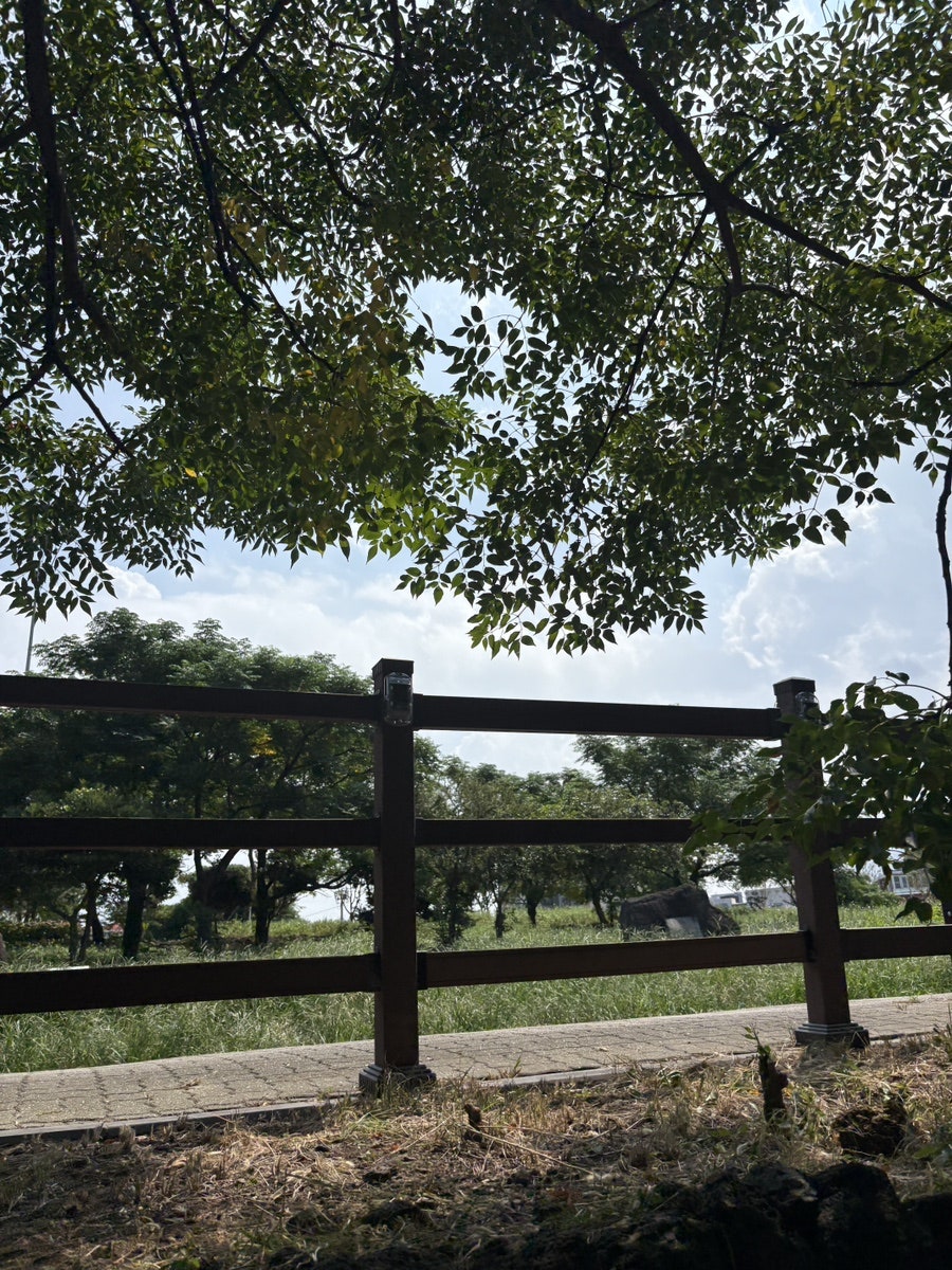 윔블던 사진 5