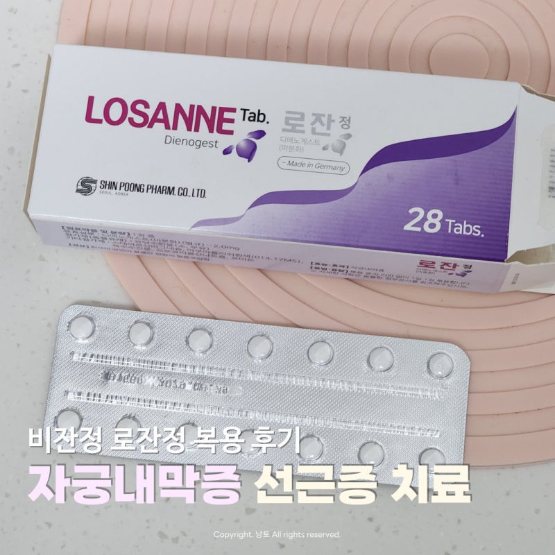 자궁내막증 선근증 치료 | 비잔정 로잔 부작용 복용 3개월 후기 금주필수